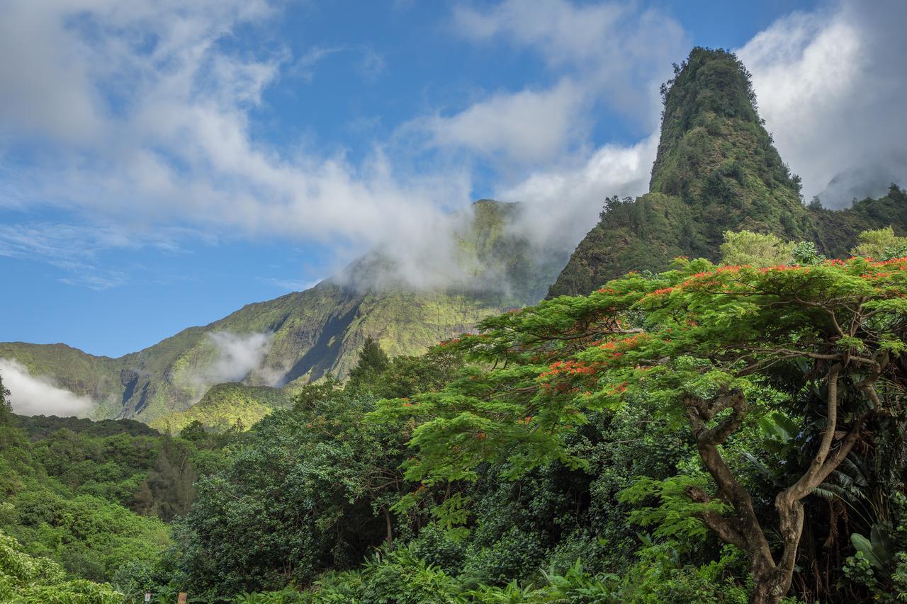 Central Maui Hostel Wailuku Zewnętrze zdjęcie